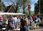 Dauwtrapfeest 2016